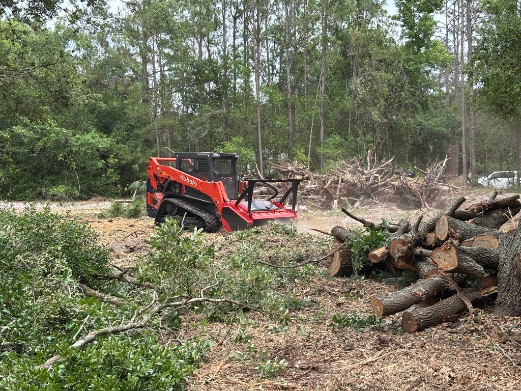 Forestry mulching equipment clearing brush and small trees in Central Florida property