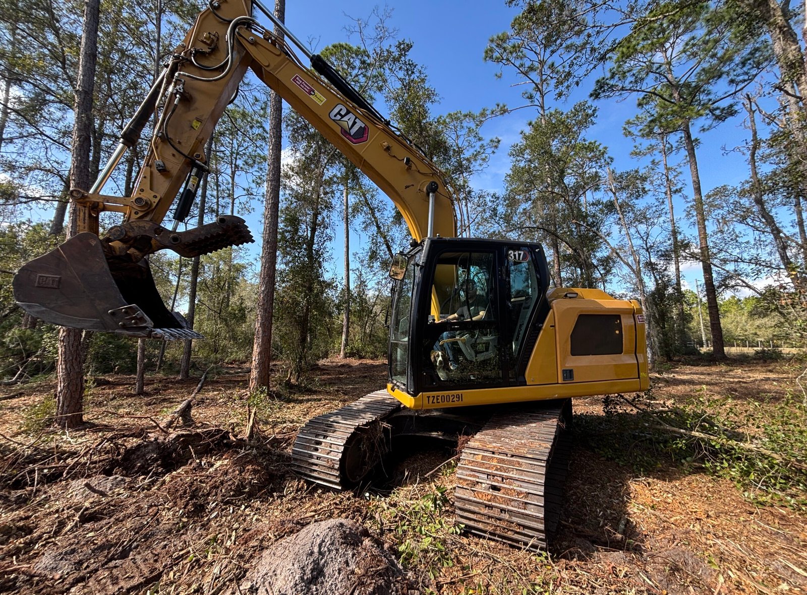 Land clearing of 1 acre pine woods for site preparation in Clermont Florida by Brannigan Land Services