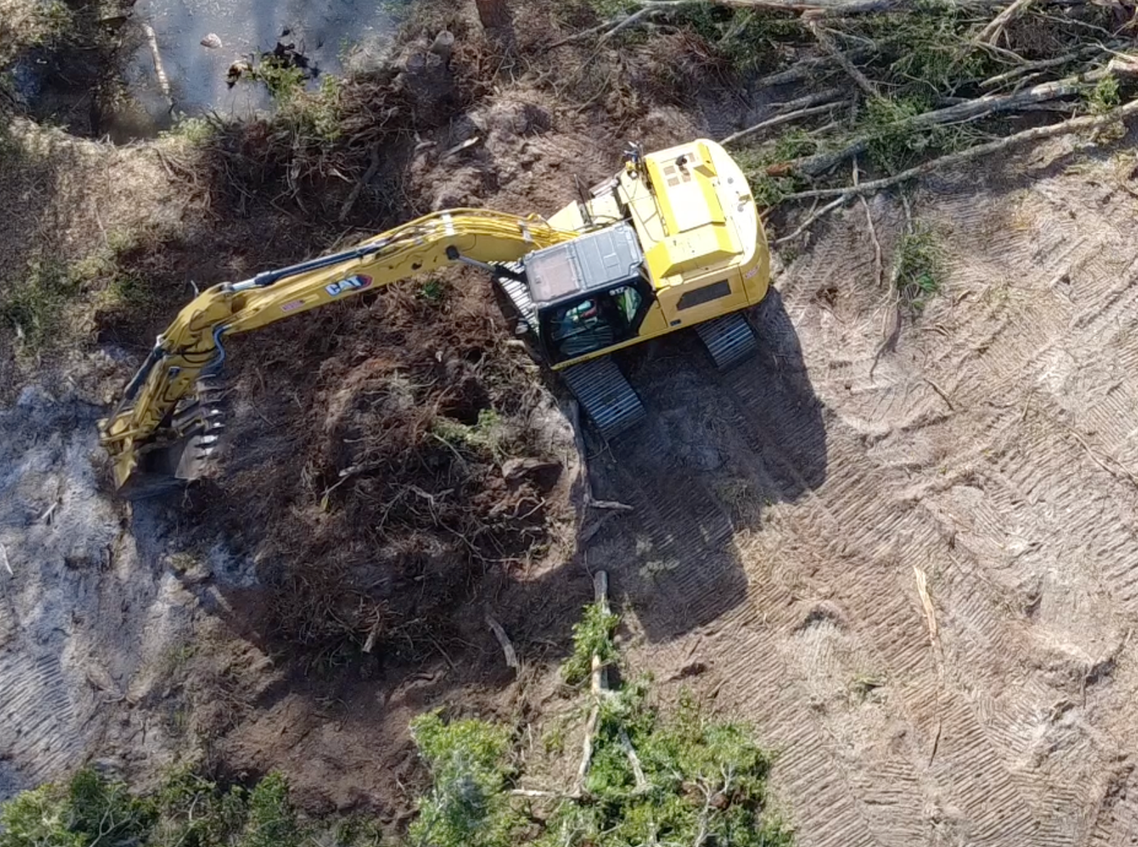 Land Clearing4