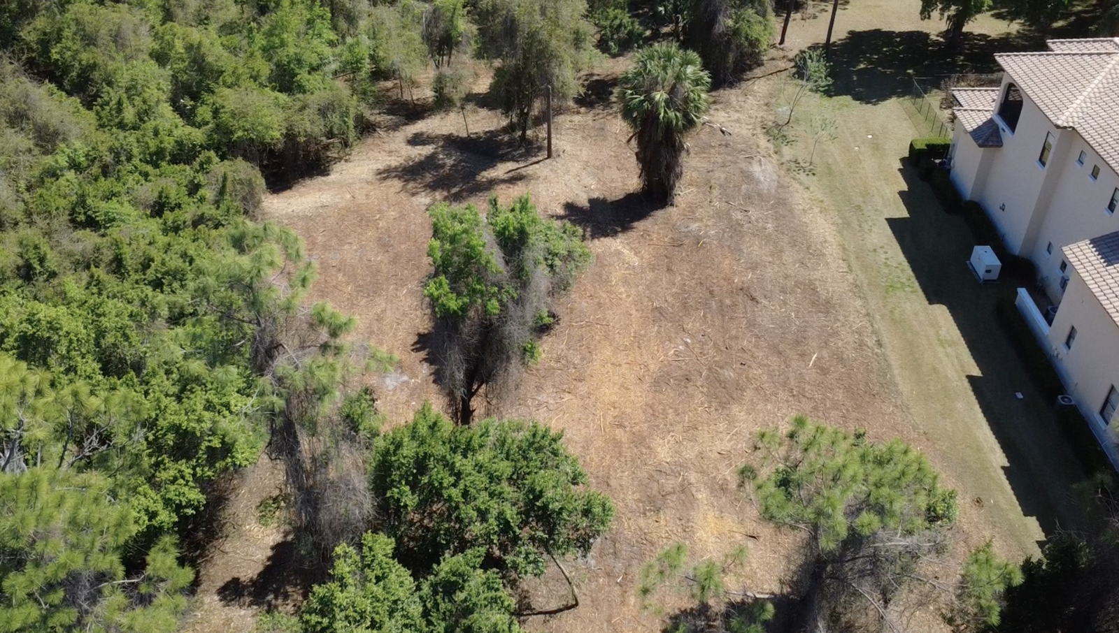 skid steer forestry mulching 1 acre property in Polk County Florida preparing land for new home construction